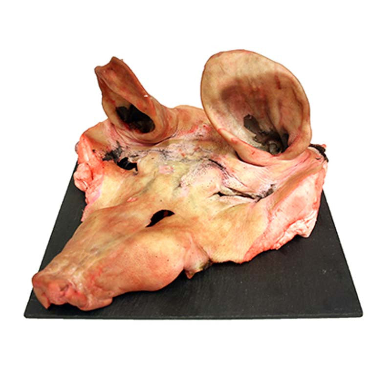 CARETA DE CERDO SELECCIONADO